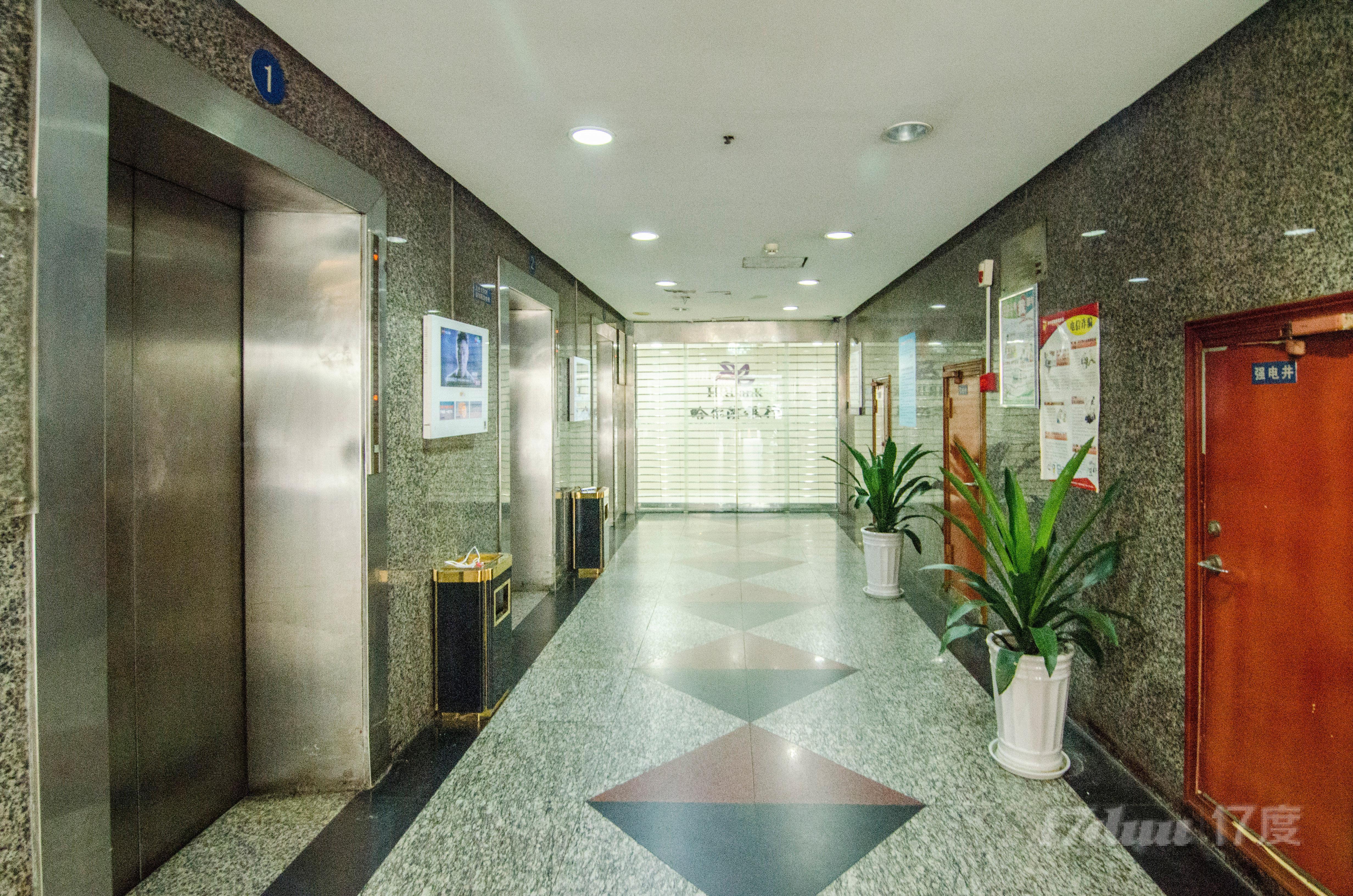 罗马国际