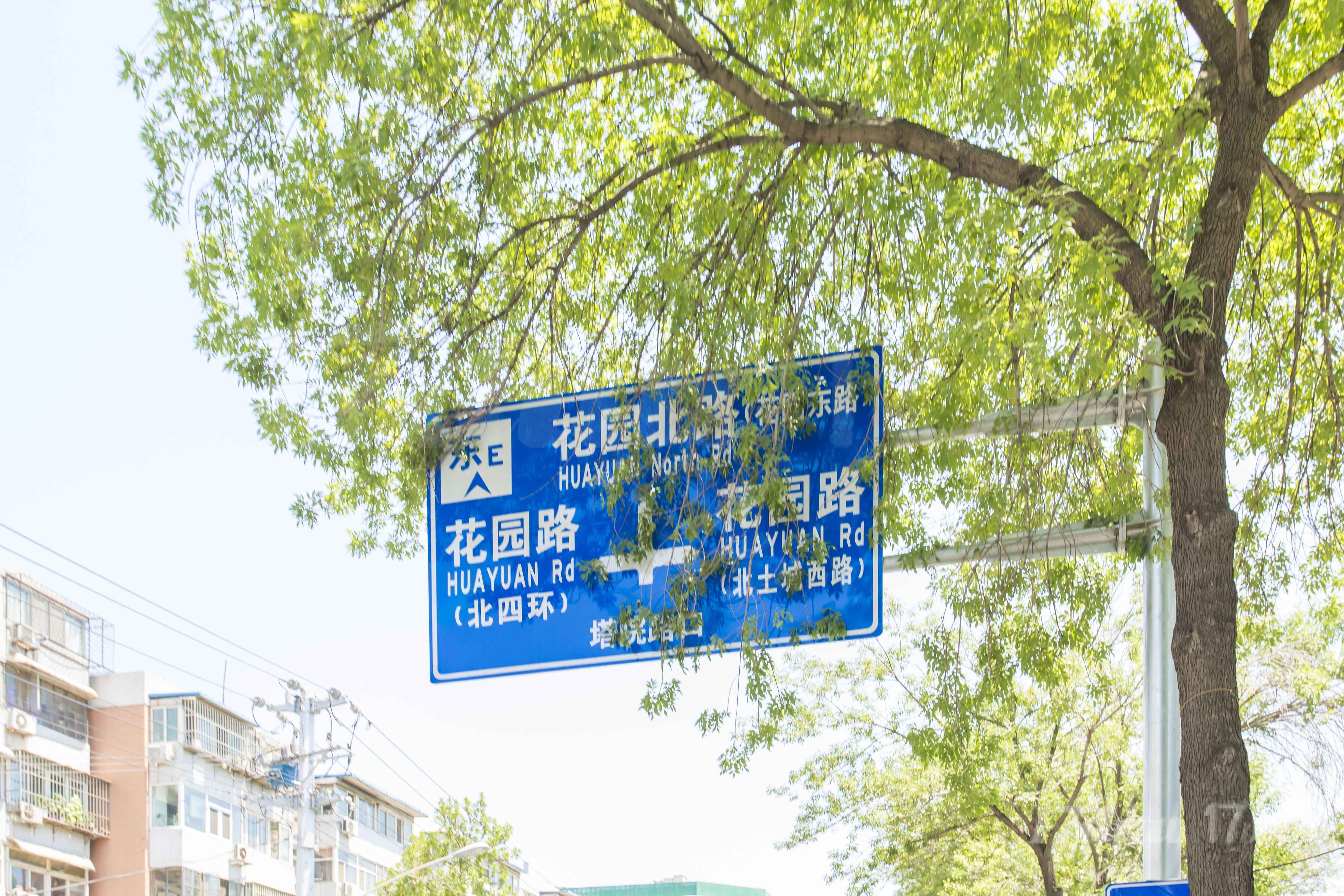 北太平庄花园路