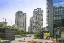 金泰先锋