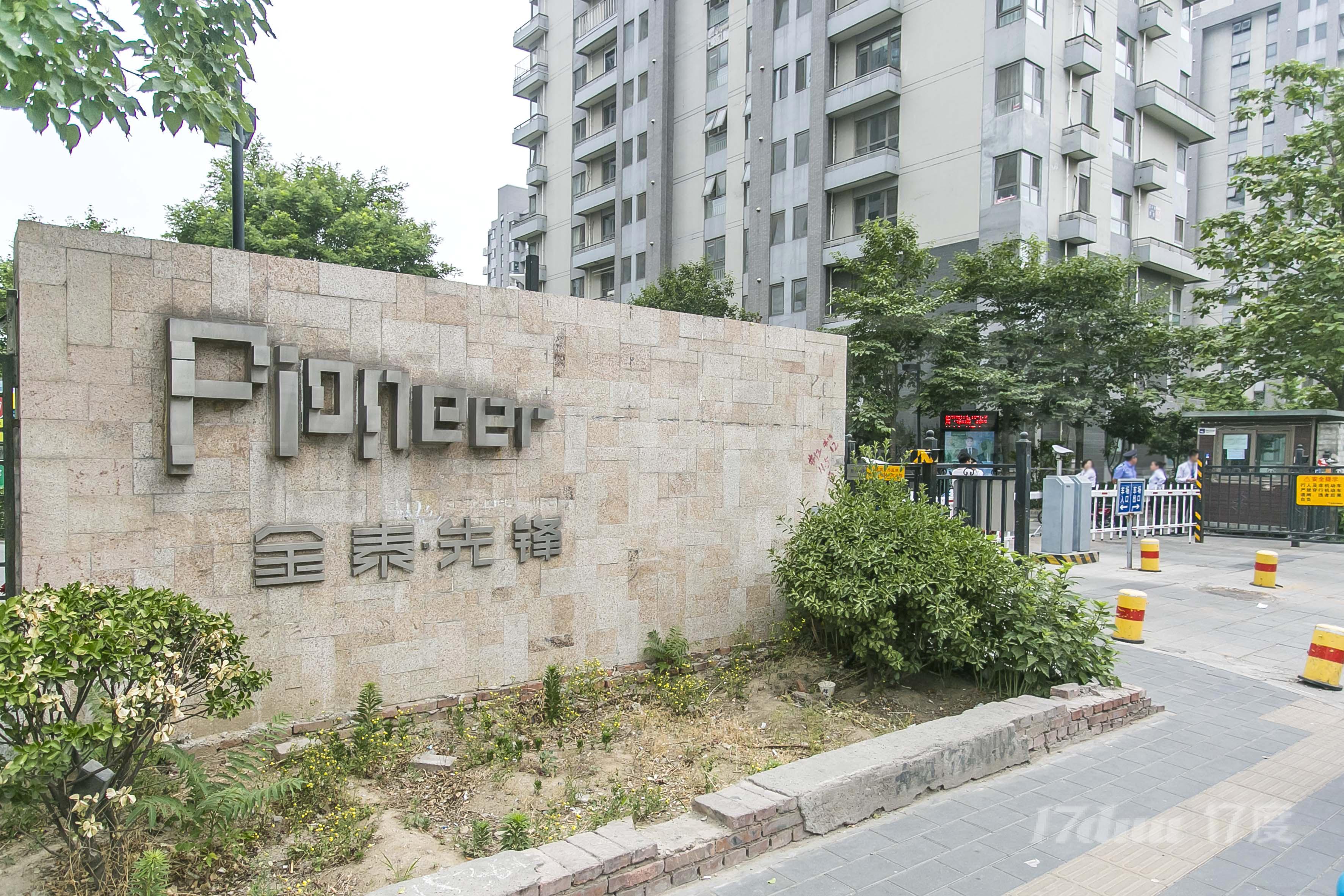 金泰先锋