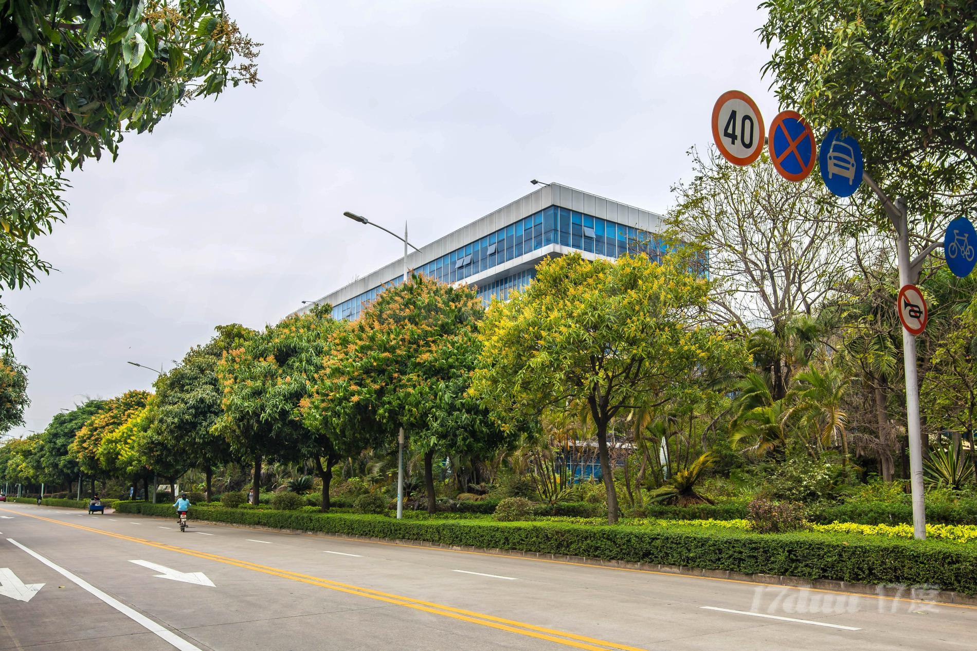 深圳太阳生物科技大厦