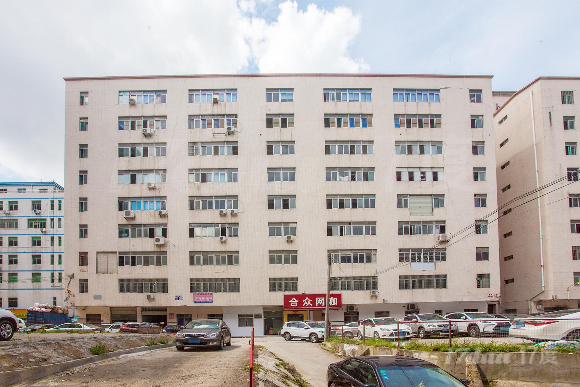 布龙路586号