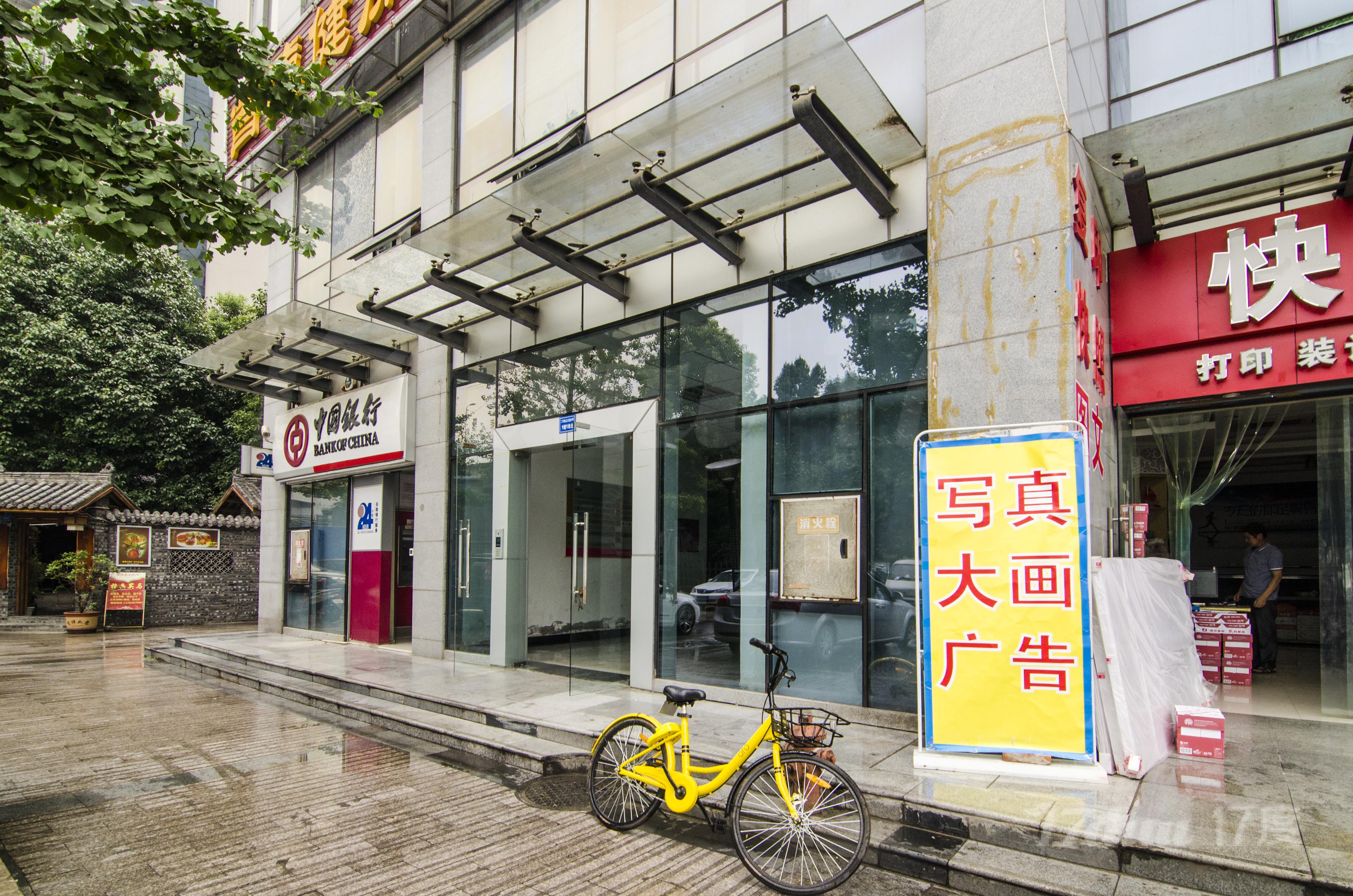 紫金乐章
