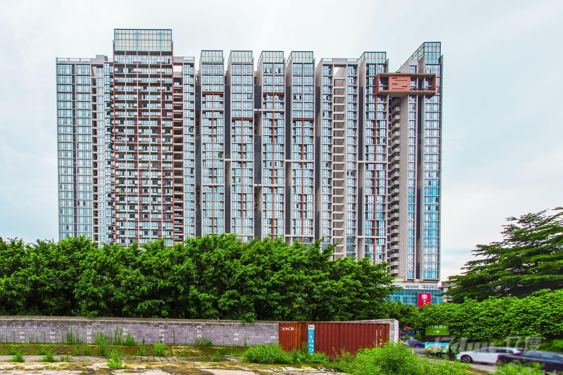 纵横国际公寓