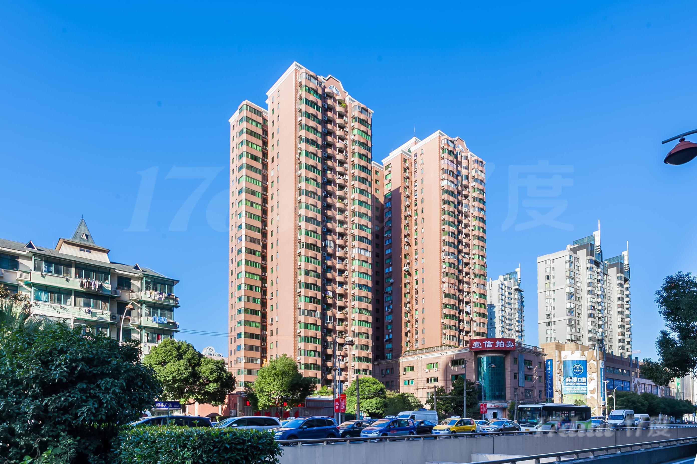 大树下 ·新天地
