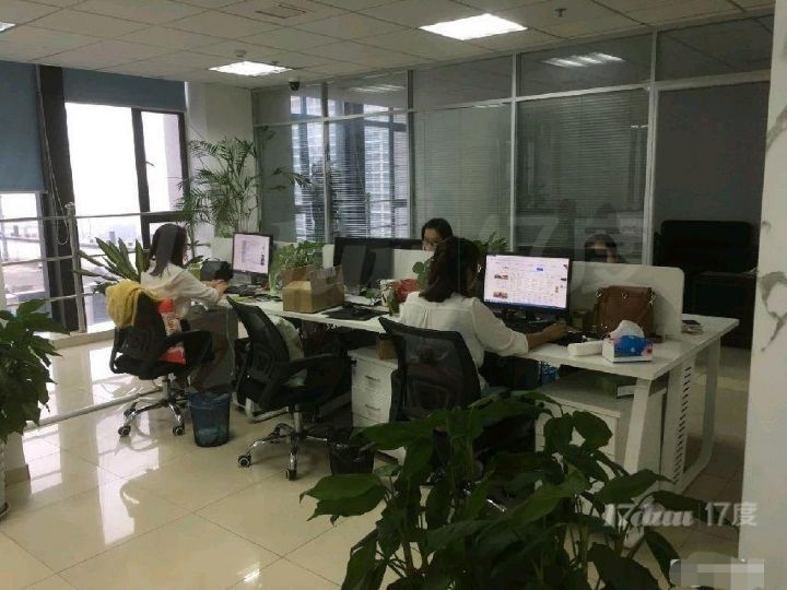 金座C座 