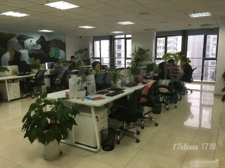 金座C座 