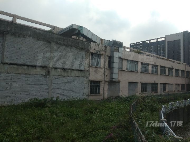 元岗路与沙太中路交叉口 