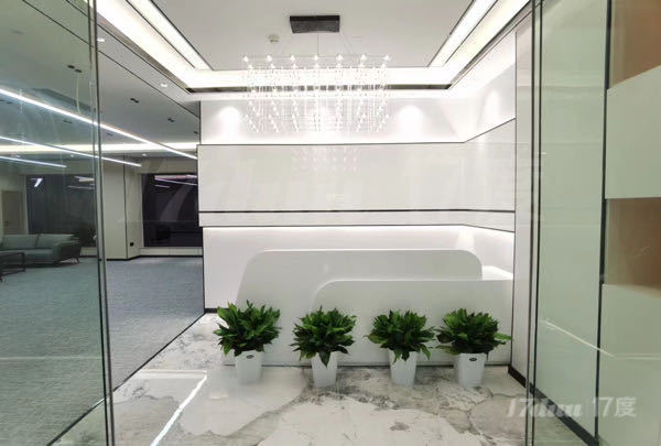 光谷东—地铁口恺德中心现房256平含家具3加1格局出租中