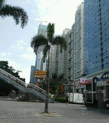 丰盛町商业步行街(英龙大厦北)