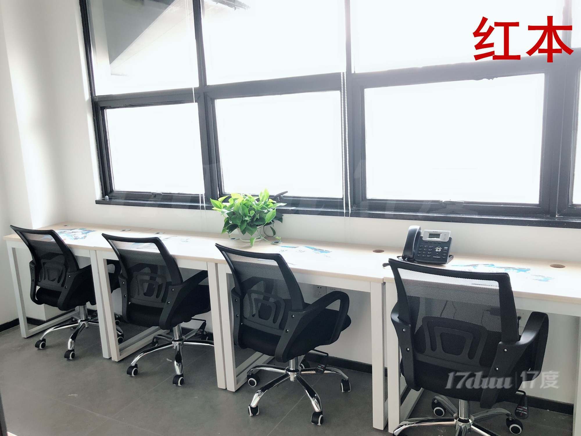 南山蛇口新店开业《联合办公室出租》迁移异常