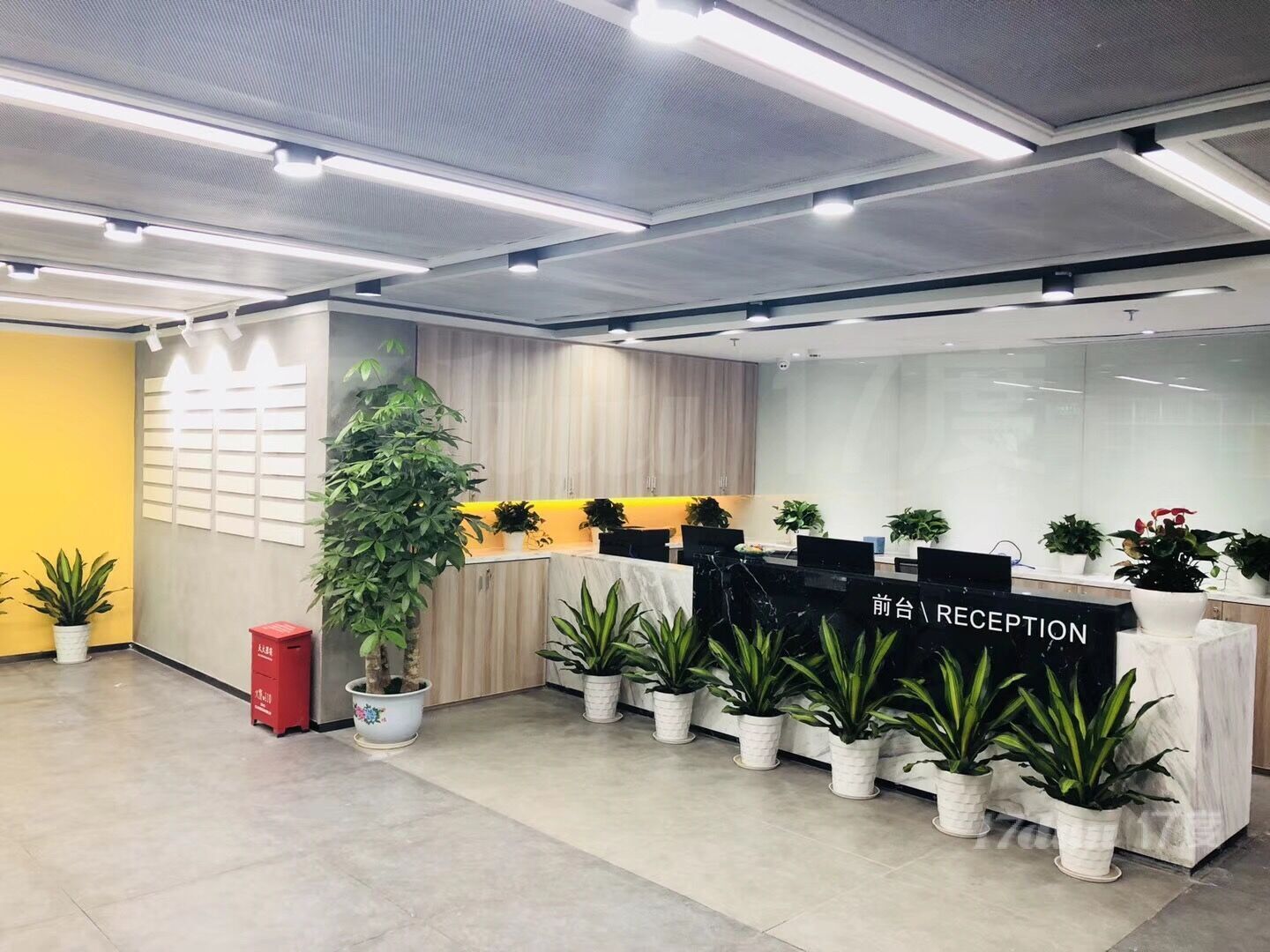 布吉办公室出租解除异常/地址托管龙岗会议室出租380一天