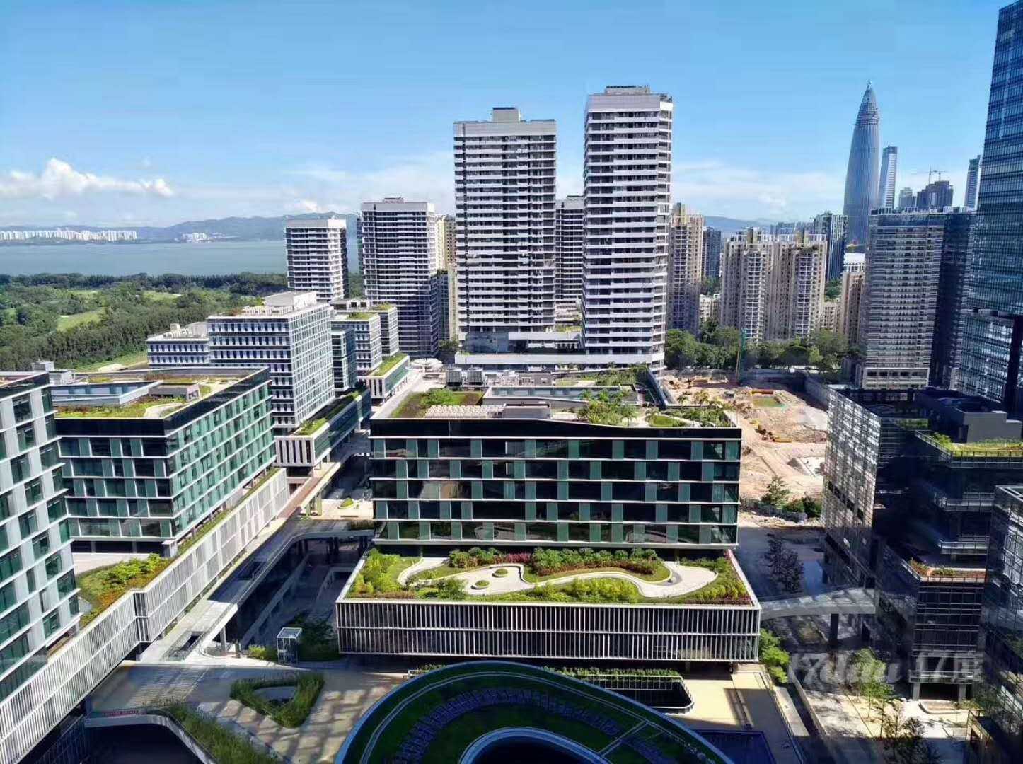 深圳湾科技生态园全新甲级写字楼出租，高层看海，免佣代理