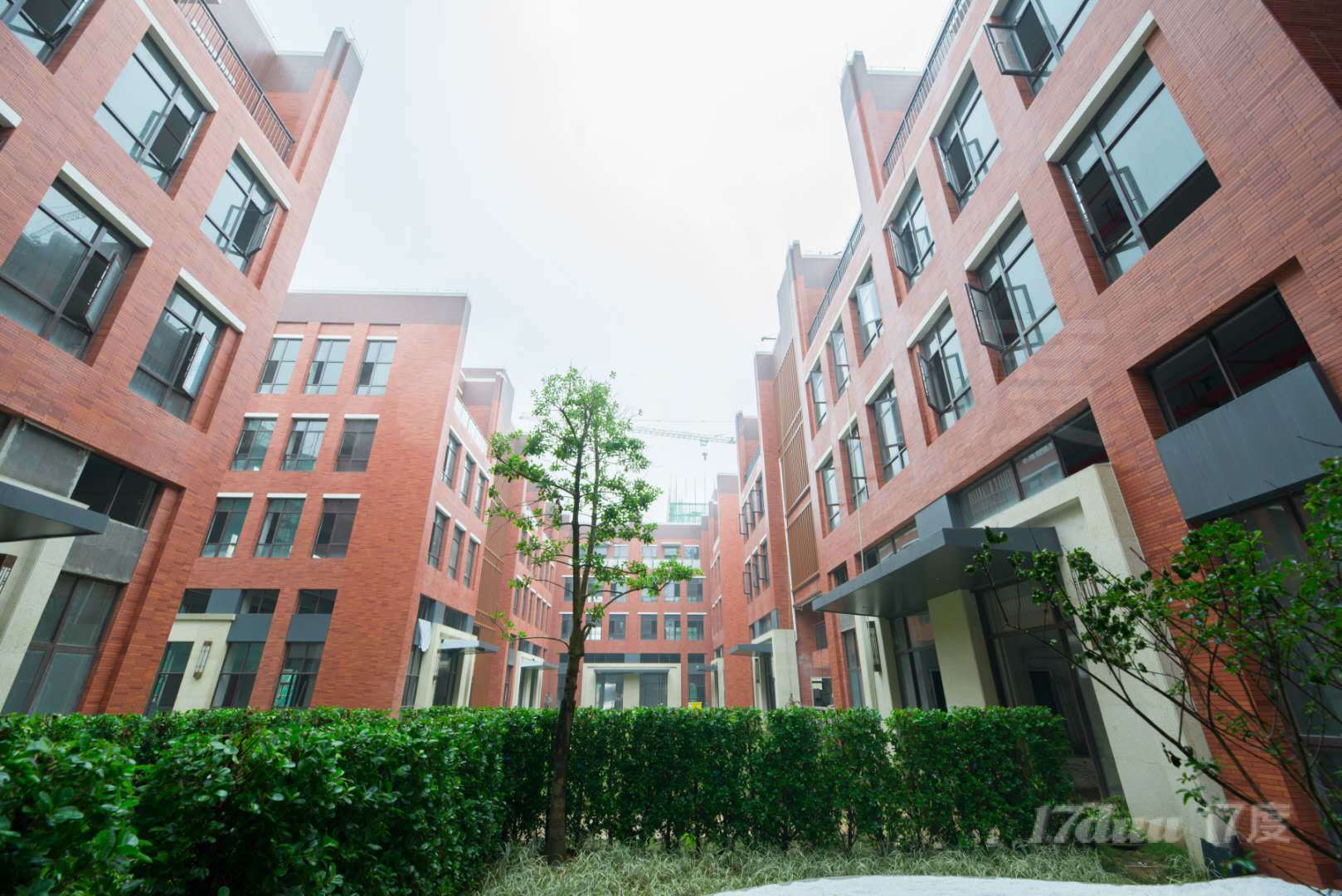 临深首站地标式产业园区，金地智汇港火热招商