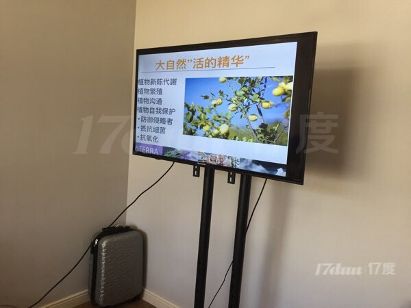 ESSENCE  TREND真势咖啡