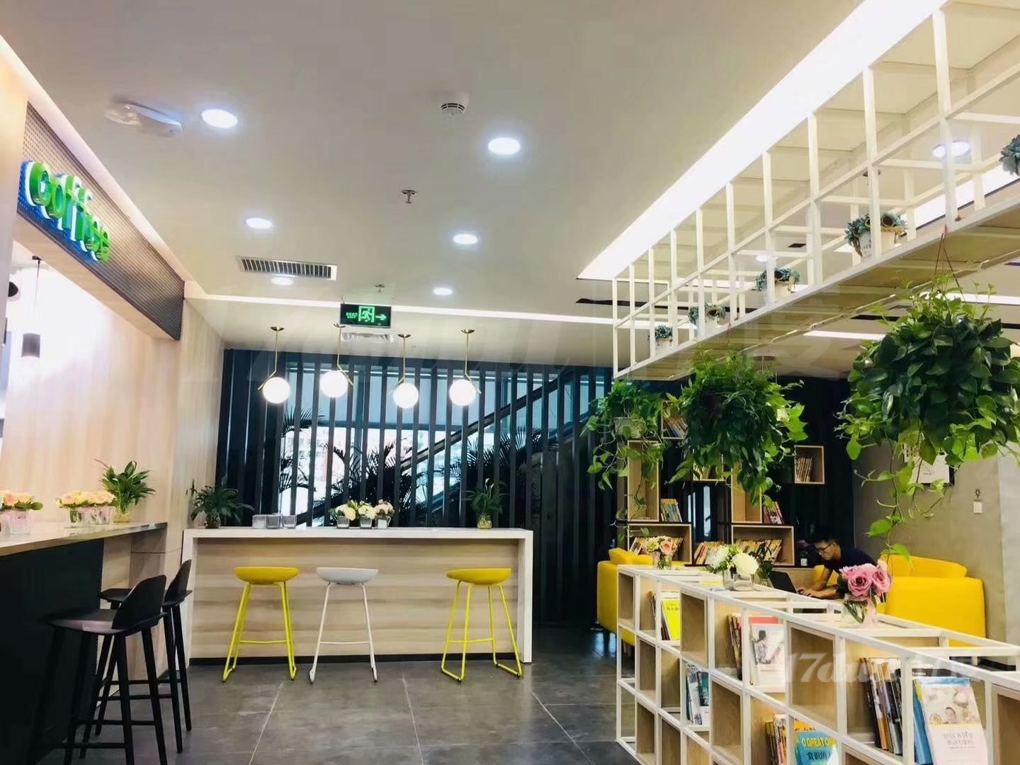 1080？独立办公+挂靠地址+费用全包+前台会议室书吧茶水间