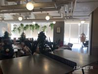 精装修带家具，户型方正，采光好