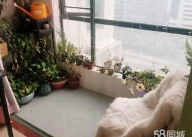 宜商宜居 都市阳光名苑 深高学位房 地铁口物业！