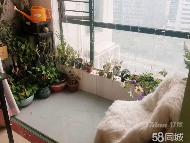 宜商宜居 都市阳光名苑 深高学位房 地铁口物业！