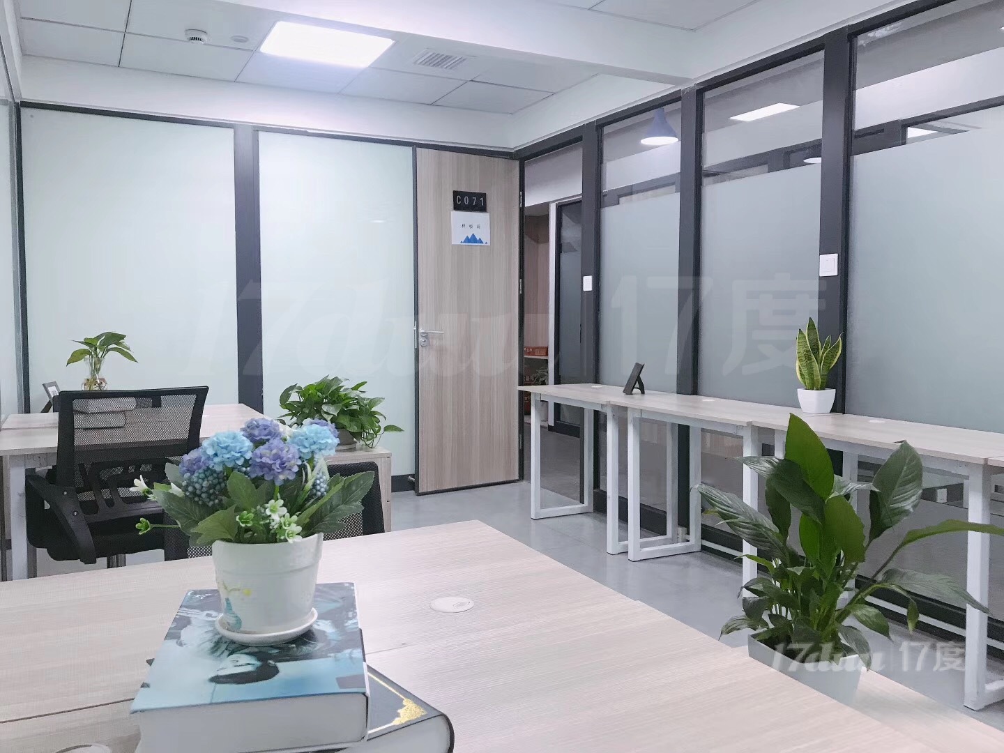 芙蓉区共享办公室出租 价格美丽 地铁口 一站式服务 地址挂靠