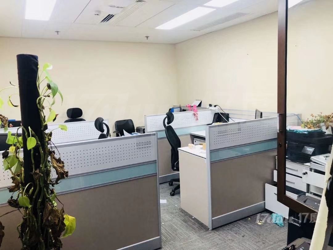 俯瞰长安街，东方广场，精装修带家具