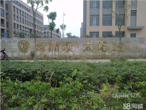 出租江夏东湖高新纯写字楼