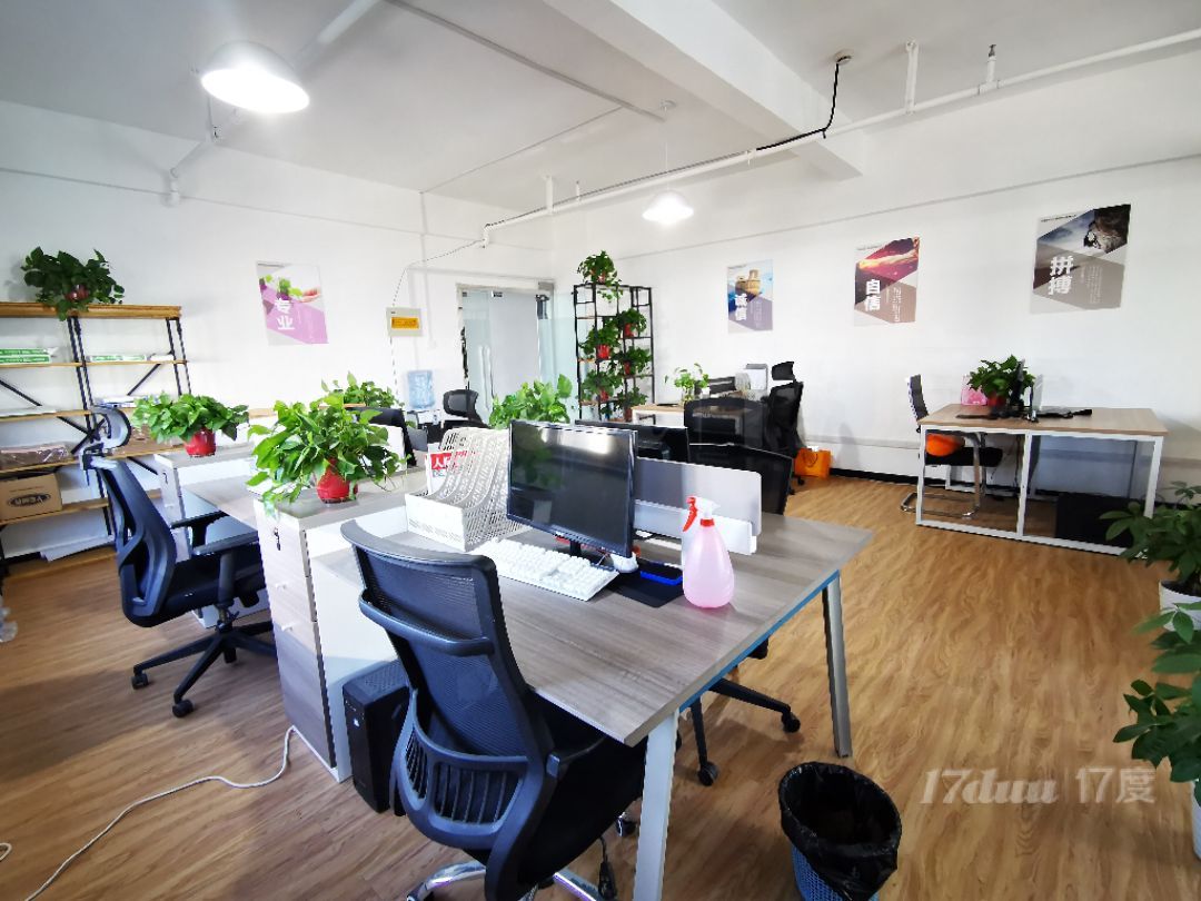 双轨地铁绿地原盛，精装小户型双面采光，特价出租随时看房