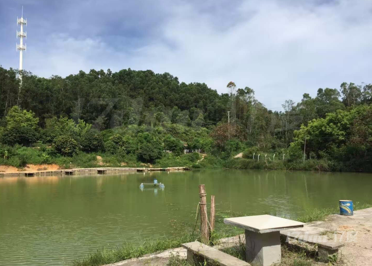 深圳市中心30公里车程，东莞塘厦农场出售合作（紧邻高新园）