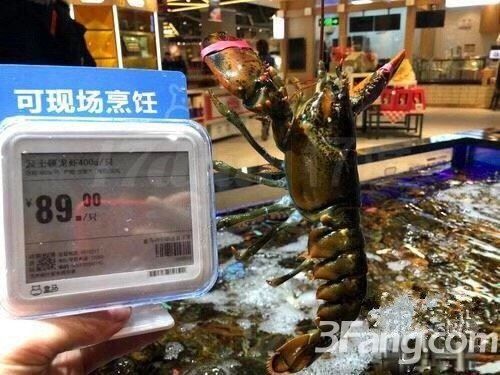 佛山市中心大型海鲜城商铺出售??！