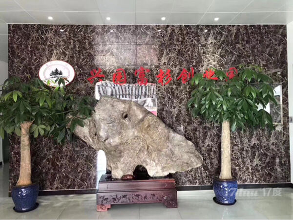普陀区万里板块办公室2元起步优惠出租环境安静宽松