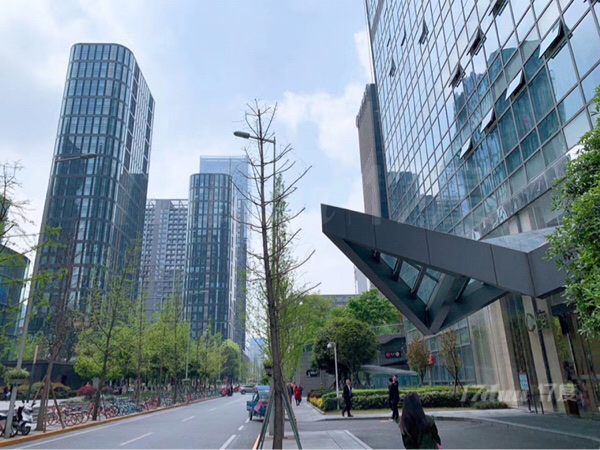 天府三街地铁口  ，超甲希顿国际，软件园旁，采光好，拎包入住