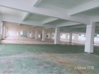 原房东红本房，面积实在，光线好