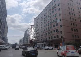 福永国际会展中心旁，沿江高速出口，大型红本精装修厂房业主直租