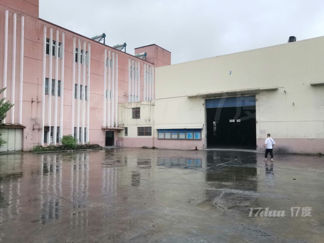 宝山区盘古路厂房仓库出租