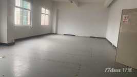 坪山高铁站独门独院红本厂房业主直租