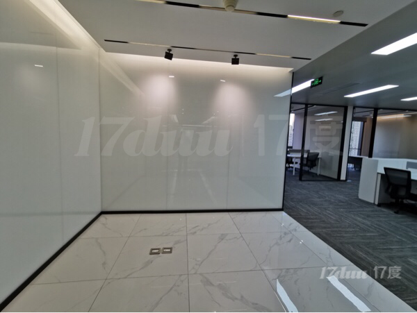 世纪大道 平安财富大厦 4/6号线浦电路 精装带家具