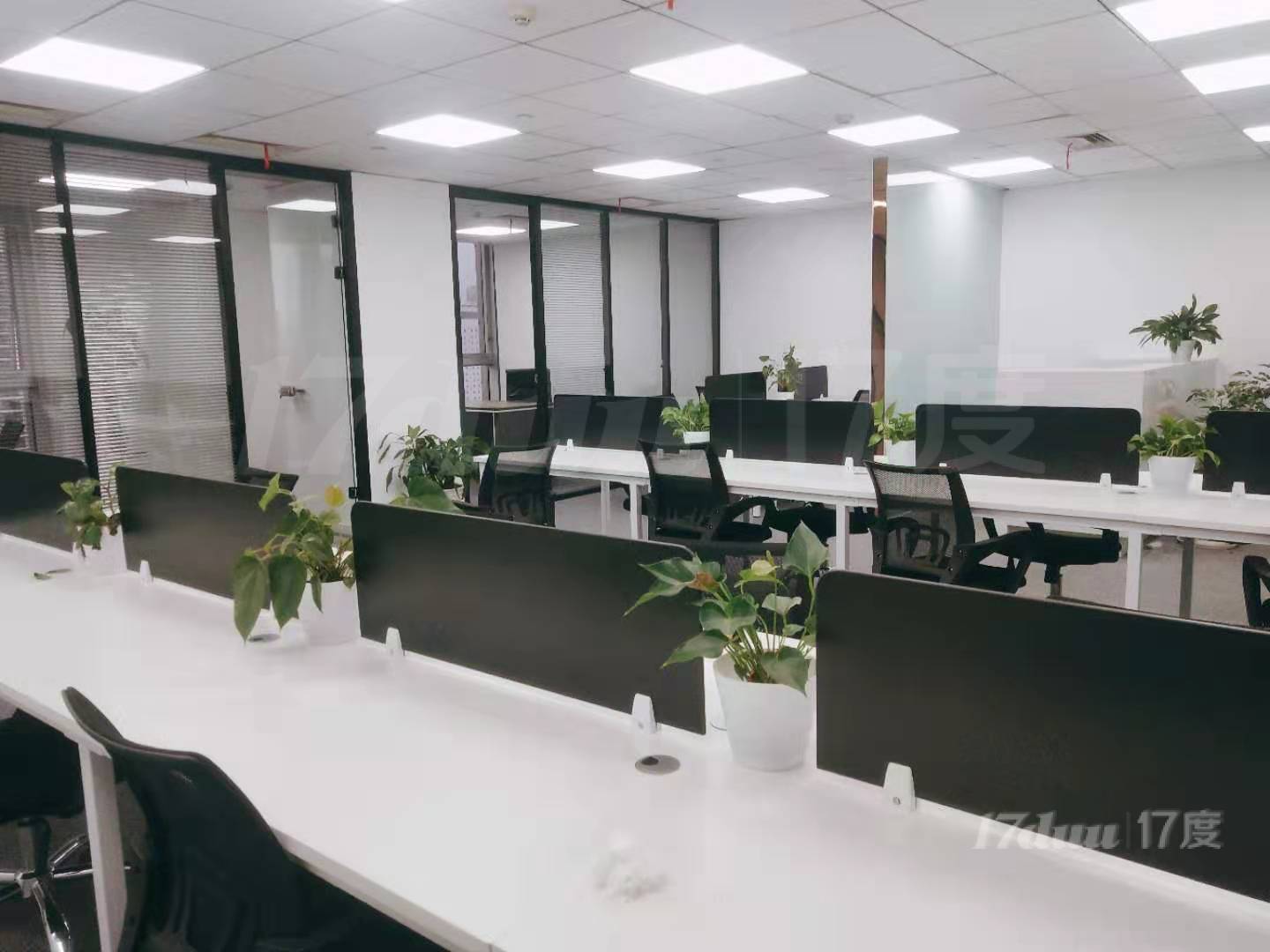 8.9号线老西门，经典小户型，精装修带家具，拎包入住