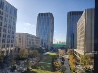  青岛高新区 政府园区 甲级写字楼 精装修 带隔断 可分割