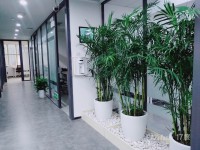 挂靠地址月租260，工位500保证安全，可办证开发票开公户