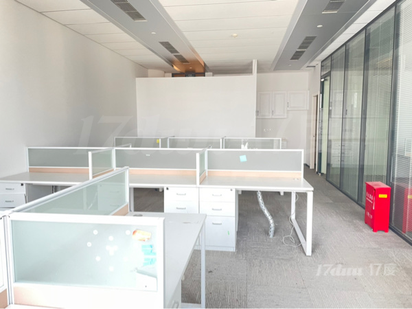 安联大厦！精装带家具！世界500强聚集地！4/12号线双轨