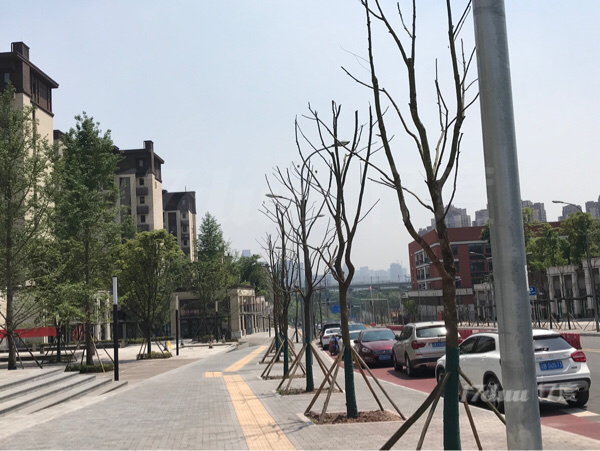 自己的门面