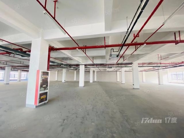 政府投资运营园区可办公、仓储、厂房招租，有优惠政策欢迎咨询