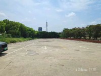 出租九亭沪松公路30亩土地 