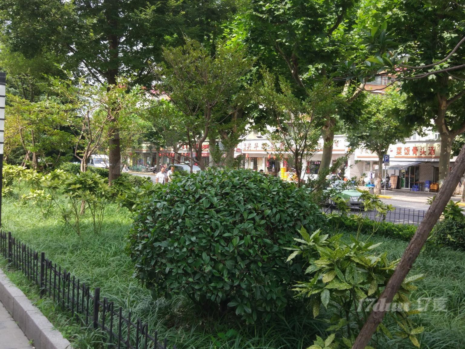 11号线李子园站耀光国际康建沪西德必精装修采光好近中环