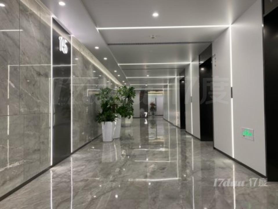 浦东CBD 大业主全新整层翻新 精装带家具 陆家嘴 拎包办公