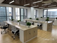 10号线新江湾城 电费只要0.5元/度 精装修还送免租期
