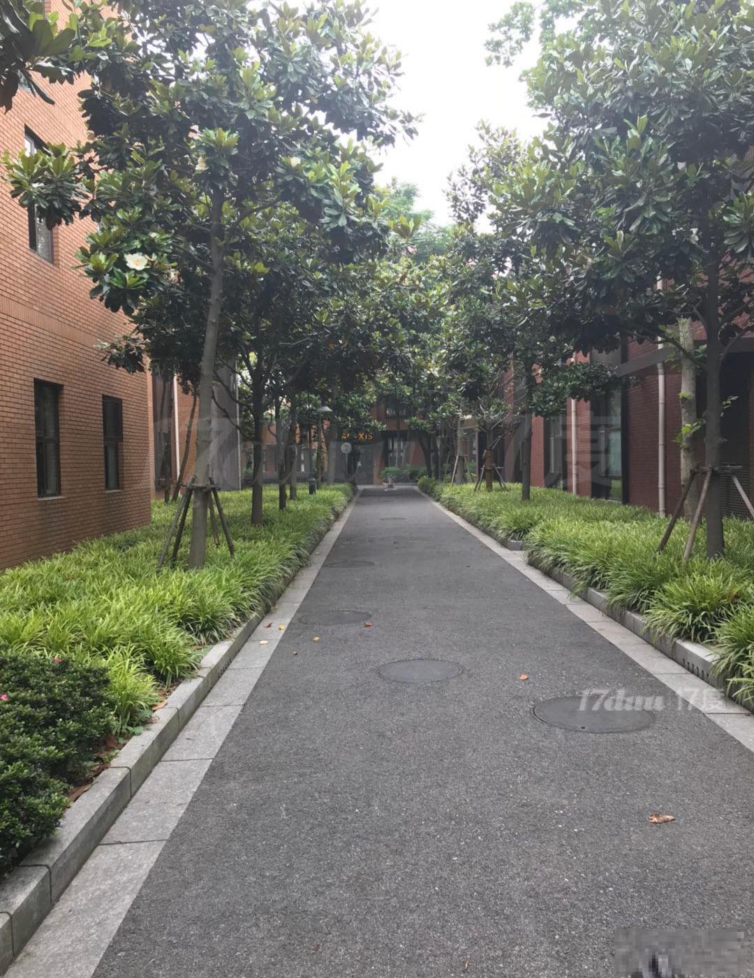 金桥碧云社区鑫桥创意园精装修独栋1300平可分割交通便利