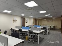 12号线七莘路站精装家具银石科技园300平近红点城