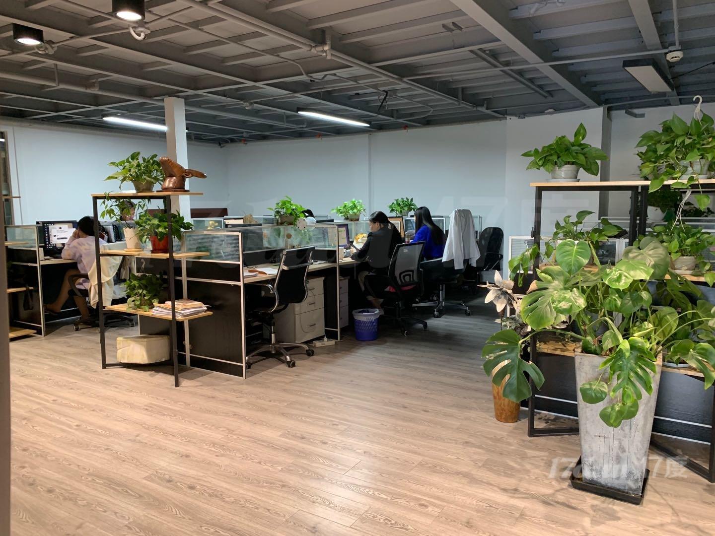 汶水路地铁口，祥腾财富广场，精装全配，低价出租，实景随时可看