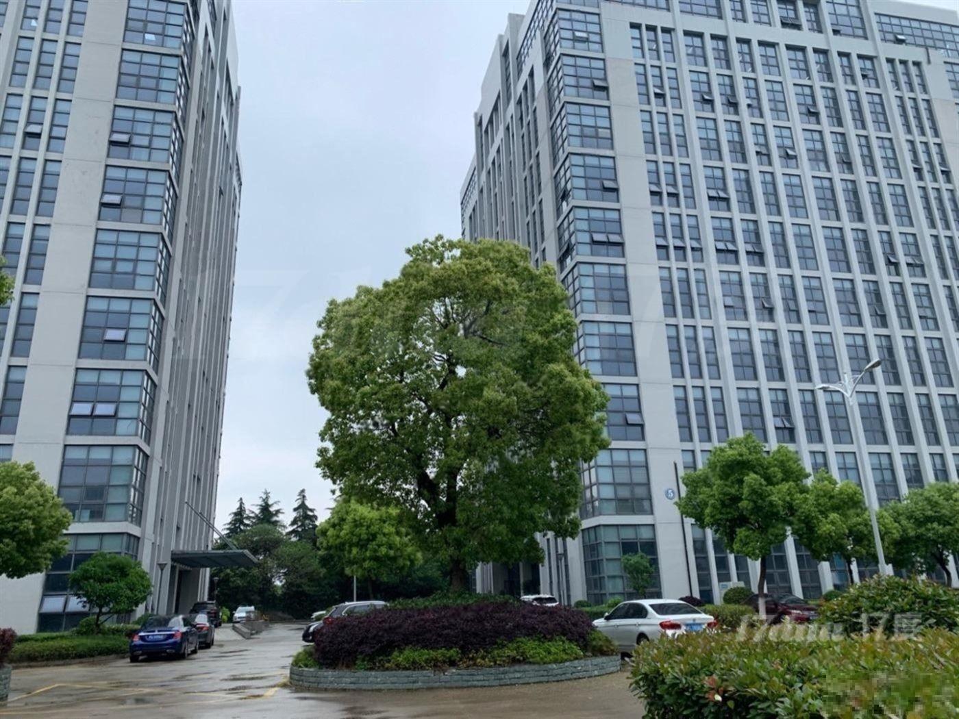 嘉定工业园区，精装交付，装修。两面采光，户型方正，实图